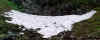 snow_eagle.jpg (32991 bytes)