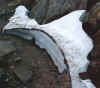 snow.jpg (29144 bytes)