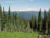 w_mt_rev.jpg (87605 bytes)