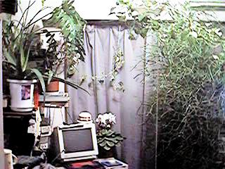 green1.jpg (25622 �o�C�g)