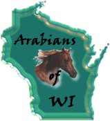 Arabian Horses of NetRing - Want to
join the ring?