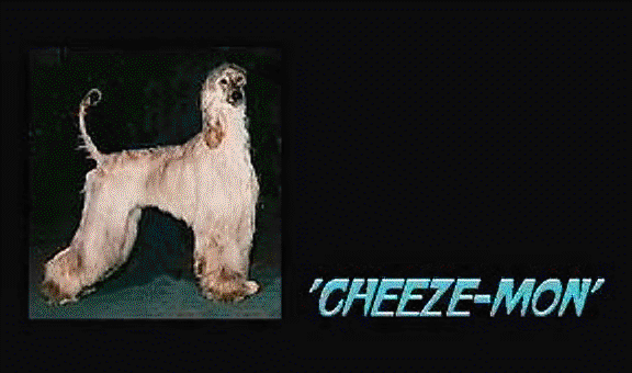 Afghan Cheze