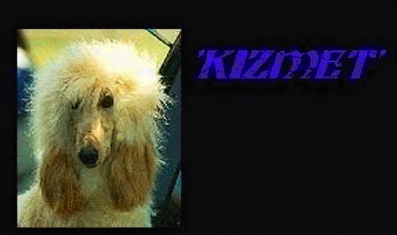 Afghan Kizzy