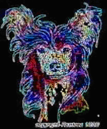 Chinese Crested � 1996 Raintree Fine Art