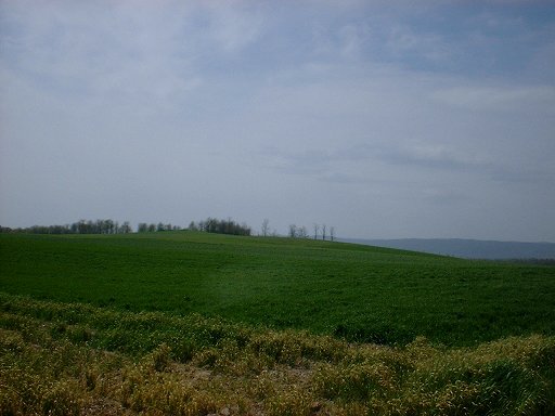 Cloyd's Farm