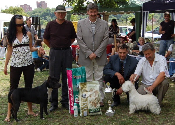 Ironmen's Ice Age wiining Reserve Best in Show
