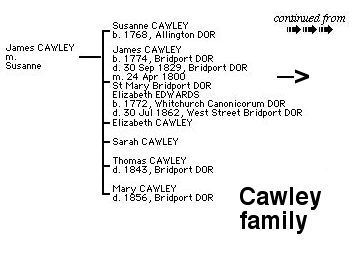 Cawley Tree