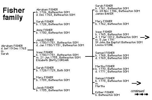 Fisher Tree