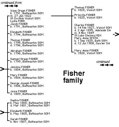 Fisher Tree