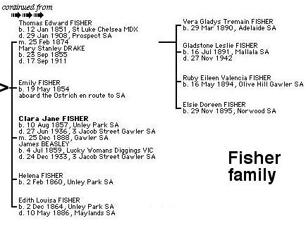 Fisher Tree
