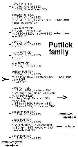 Puttick Tree
