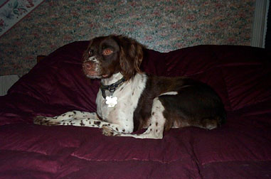 Maggie