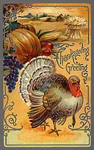 Thanksgiving Greetings