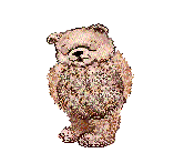 Valentine Teddy