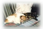 Micky and Bicky