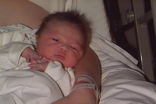 Maccenzi One Day Old