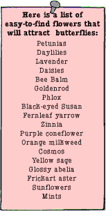 List of flowers that attract butterflies