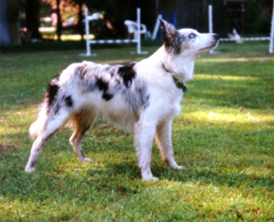 Gem