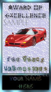 Award of Excellence for Young Webmasters (Boys)