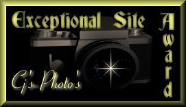 Cj's Exceptional Site Award