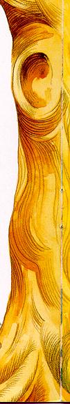 r-side.jpg (17817 bytes)