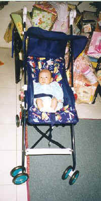 stroller.jpg (31085 bytes)