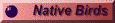 link button native birds