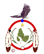 picture of a dreamcatcher