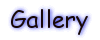 Gallery - Loads of pics of myself, family, friends etc.