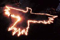 The Crow