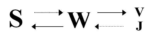 ds1.jpg (5923 bytes)