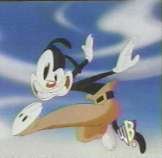 Yakko...