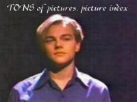 TONS of pictures
