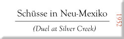 Sch&uuml;sse in Neu-Mexiko (Duel at Silvercreek)