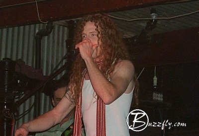 buzzfly