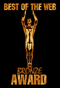 Nielsen Bronze Award