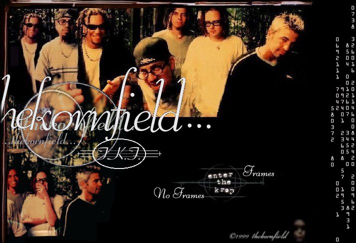 thekornfield