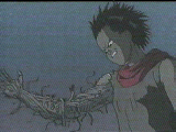 akira photo