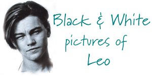 Black and White pictures of Leo