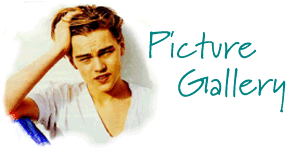 Picture Gallery