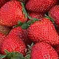 ��� strewberry