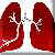 ��Ŧ lung