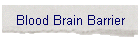 Blood Brain Barrier