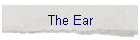 The Ear