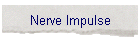 Nerve Impulse
