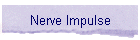 Nerve Impulse