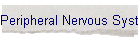 Peripheral Nervous System