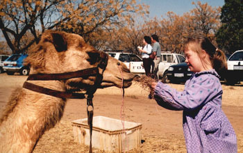 Emma Feeding a Camel !