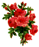 Stop and smell the roses!
