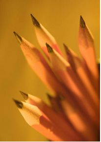 Pencils, points up
